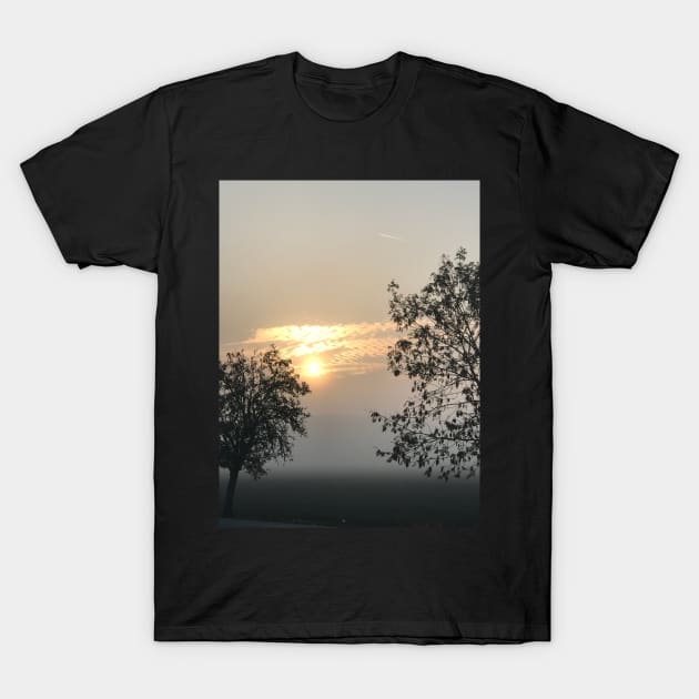 Trees in the fog during the sunset T-Shirt by jitkaegressy